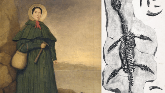 Mary Anning, la prima paleontologa