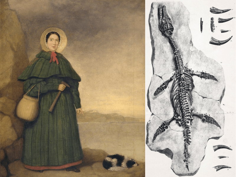 Mary Anning, la prima paleontologa